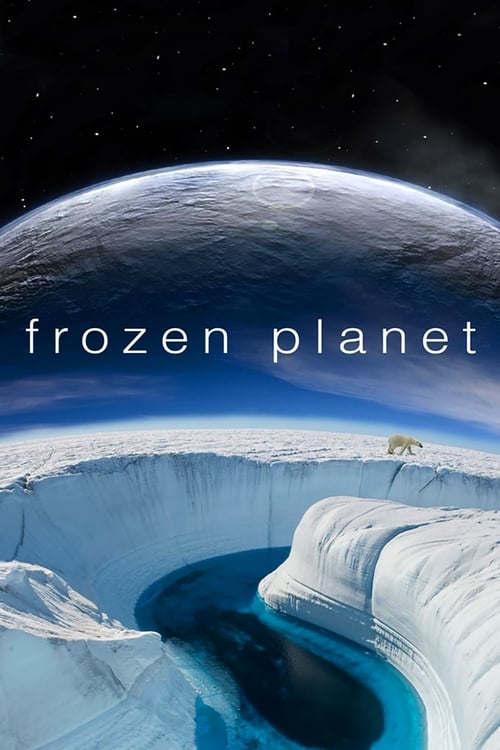 Frozen Planet : 1.Sezon 4.Bölüm
