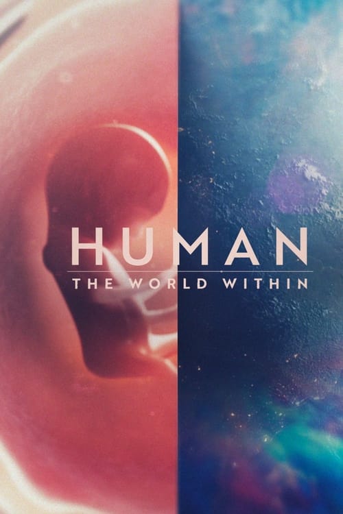 Human The World Within : 1.Sezon 2.Bölüm