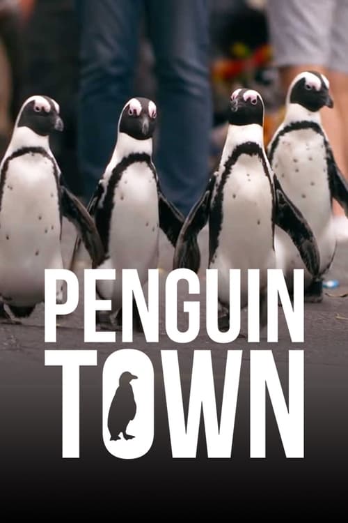 Penguin Town : 1.Sezon 1.Bölüm