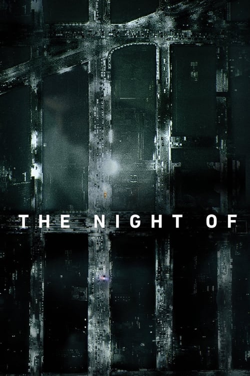 The Night Of : 1.Sezon 5.Bölüm