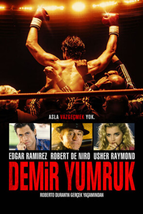 Demir Yumruk (2016)
