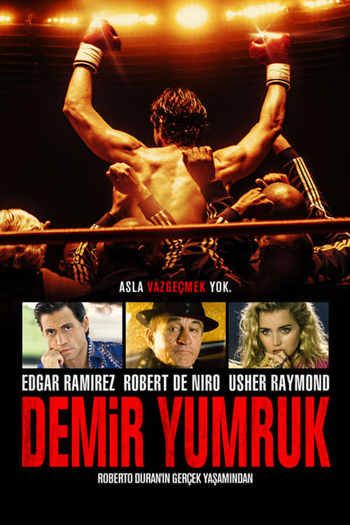 Demir Yumruk (2016)