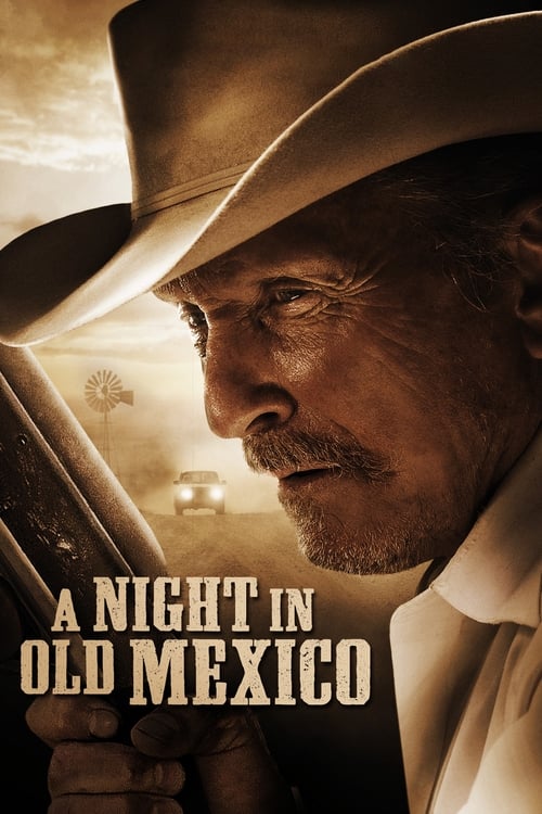Eski Meksika’da Bir Gece (2013)