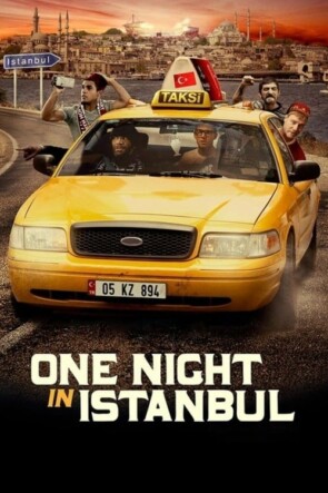 İstanbul’da Bir Gece (2014)