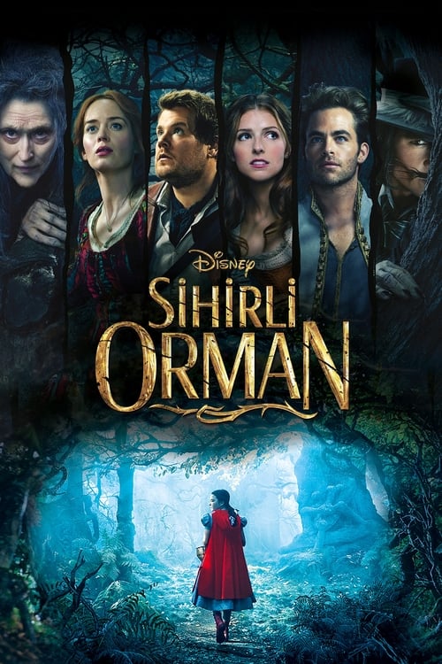 Sihirli Orman (2014)