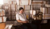 Narcos izle